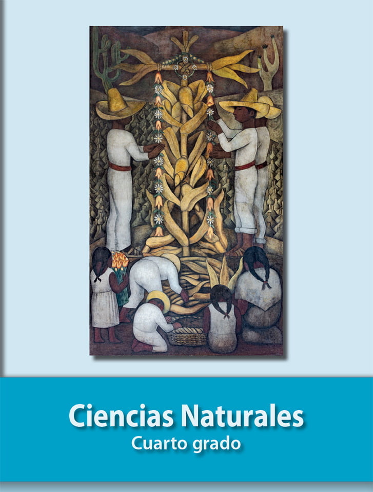 Libro De Ciencias Naturales Cuarto Grado Sep