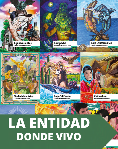 Libros de entidad donde vivo 3º grado primaria