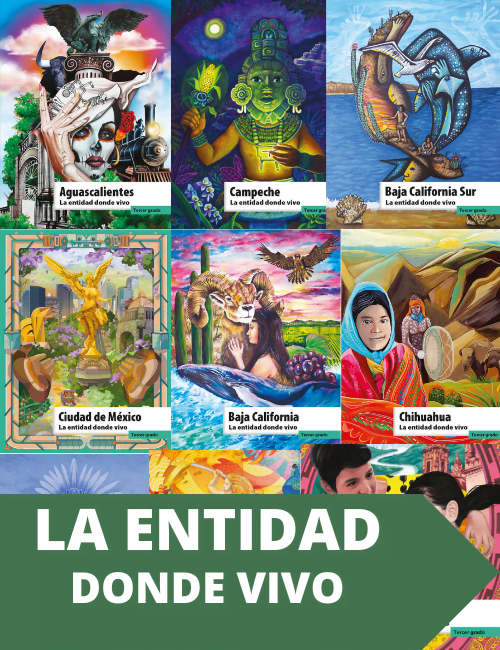 Libros de entidad donde vivo 3º grado primaria