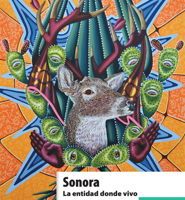 Sonora. La entidad donde vivo 3 grado primaria