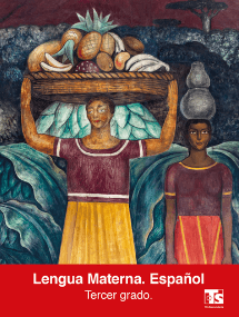 Libro de Español 3º grado telesecundaria
